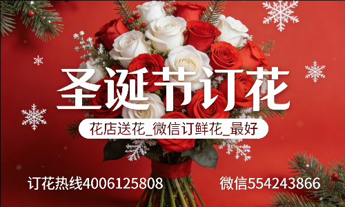 安阳文峰区花店送花_微信订鲜花_圣诞节订花_最好? 安阳文峰区花店